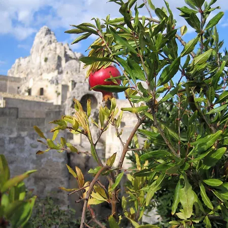 Il Giardino Segreto بيت للعطل