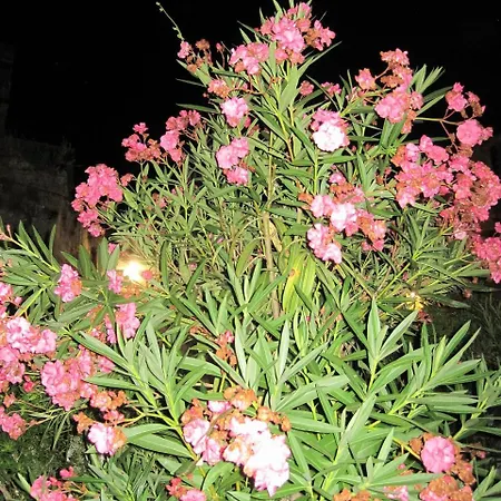 Holiday home Il Giardino Segreto